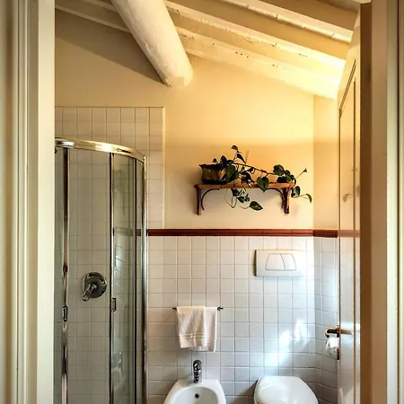 Catulliana * 维罗纳